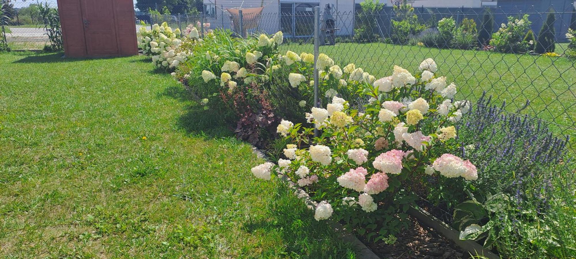 Garden Baltic Villa Trzesacz Bagian luar foto